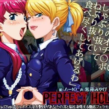 【同人ネタバレ】パーフェクトホールQ