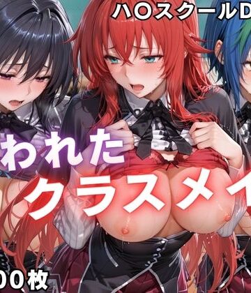 【同人ネタバレ】狙われたクラスメイト 〜ハ〇スクールD×D編〜