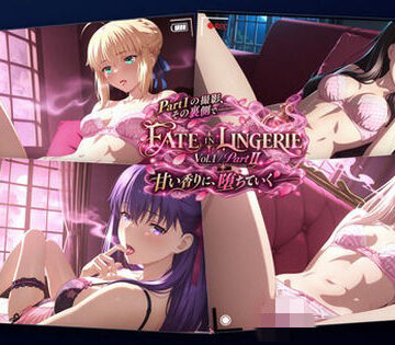 【同人ネタバレ】FATE IN LINGERIE / Vol.1 / Part II