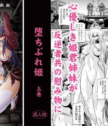 【同人ネタバレ】堕ちぶれ姫 上巻